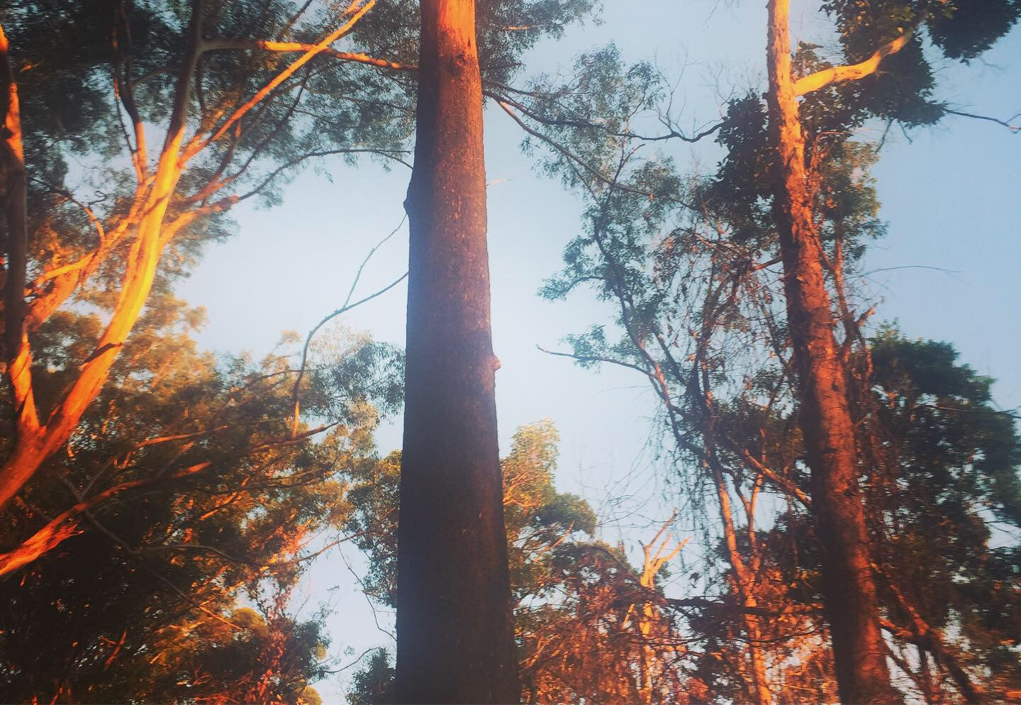 Standing tall and strong yet flexible