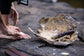 Ochre Wellbeing and Art Dreaming Experience @ My Dilly Bag (Tuesday 11th November 25)10am-11:30am