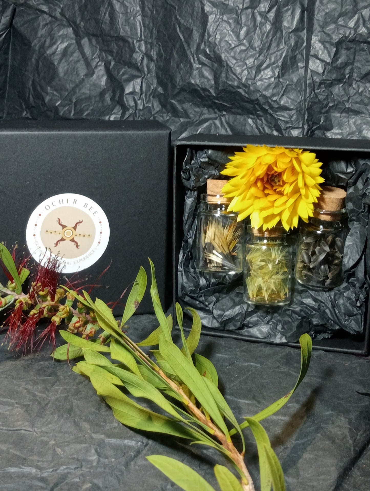 3 X 3 Dream Seeds Gift Packs. 3 box sets for this price...