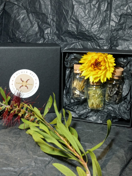 3 X 3 Dream Seeds Gift Packs. 3 box sets for this price...