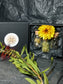 3 X 3 Dream Seeds Gift Packs. 3 box sets for this price...