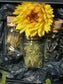 3 X 3 Dream Seeds Gift Packs. 3 box sets for this price...